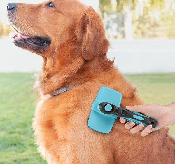 Pets Cleaning Brush