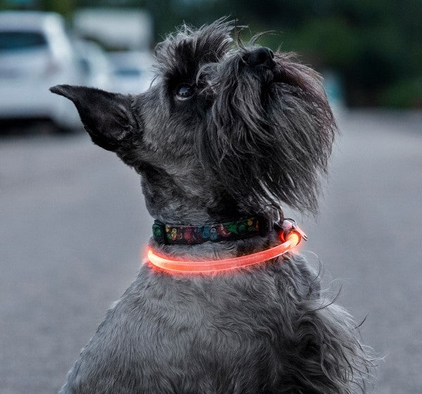 LED Pet Collar