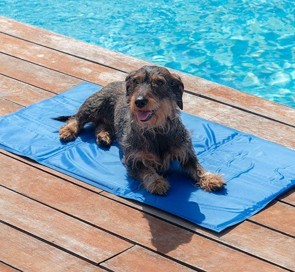 Refreshing Pet Mat