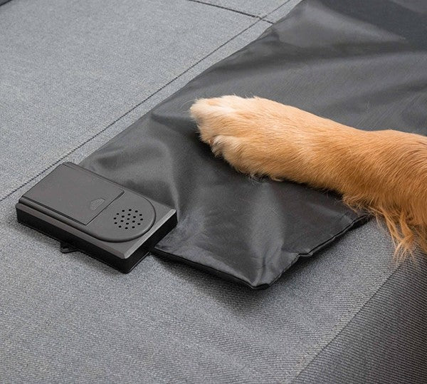 Pet Training Mat