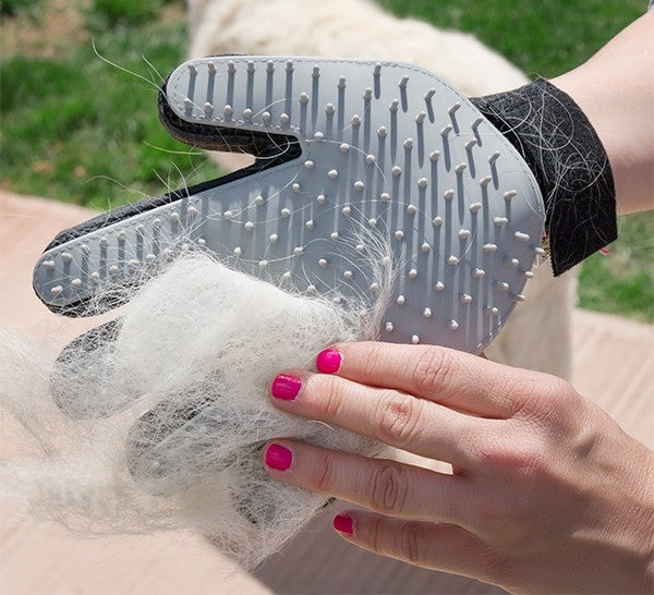 Brush & Massage Glove For Pet