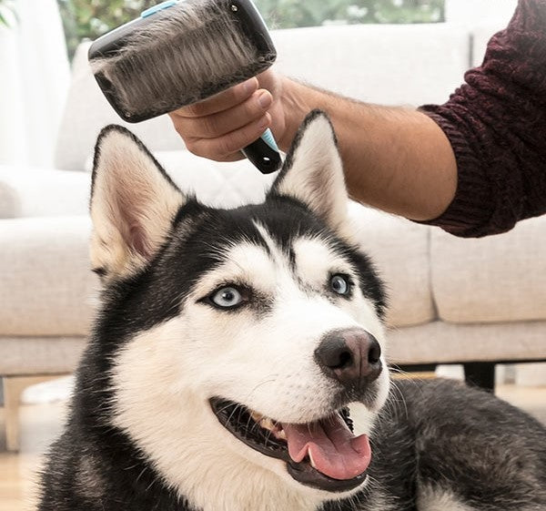 Pets Cleaning Brush