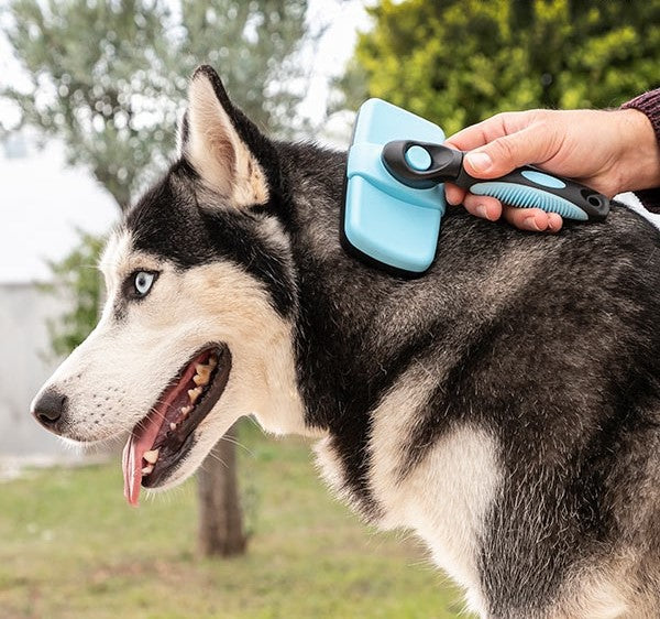 Pets Cleaning Brush