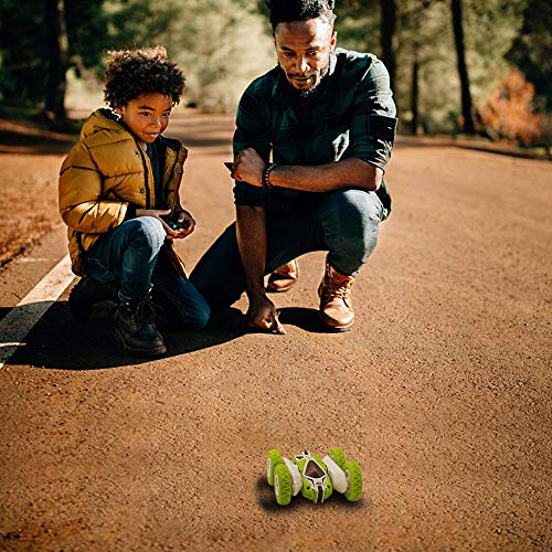 Remote Control Stunt Car