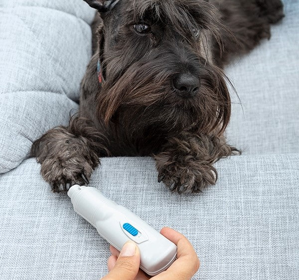 Electric Pet Nail Grinder