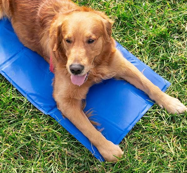 Refreshing Pet Mat