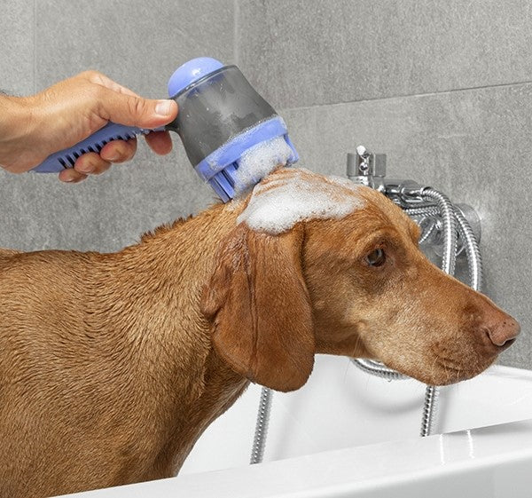 Bath Brush with Container